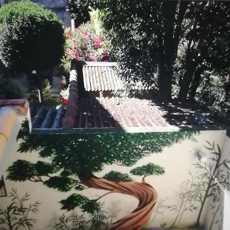 Suite Volupté classée 3 étoiles avec vue sur Jardins, Garage et Climatisation Montpellier Esterno foto